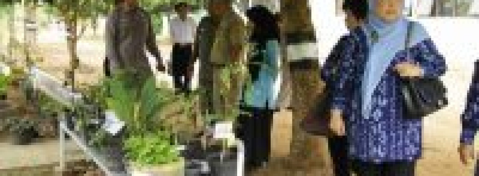 SMAGA WAKILI KALSEL PADA PENILAIAN SEKOLAH SEHAT
