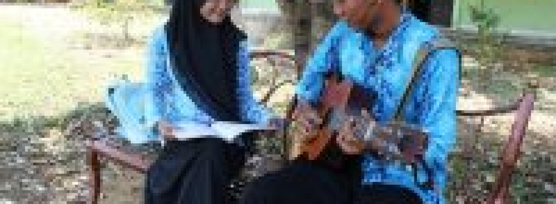 “Kan ku petik Satu untukmu”