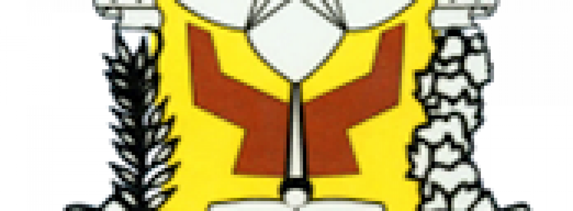 Pemilihan Ketua OSIS dan MPK