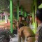 Kunjungan Paman Birin (Gubernur Kalimantan Selatan) ke SMAGA
