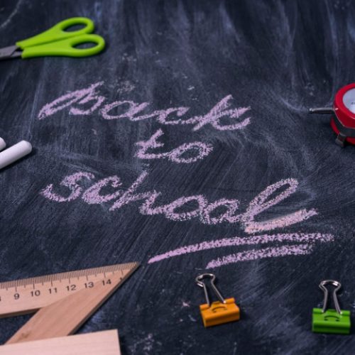 Alasan Pengusulan Tahun Ajaran Baru diundur sampai Januari 2021 oleh Pakar Pendidikan Taman Siswa
