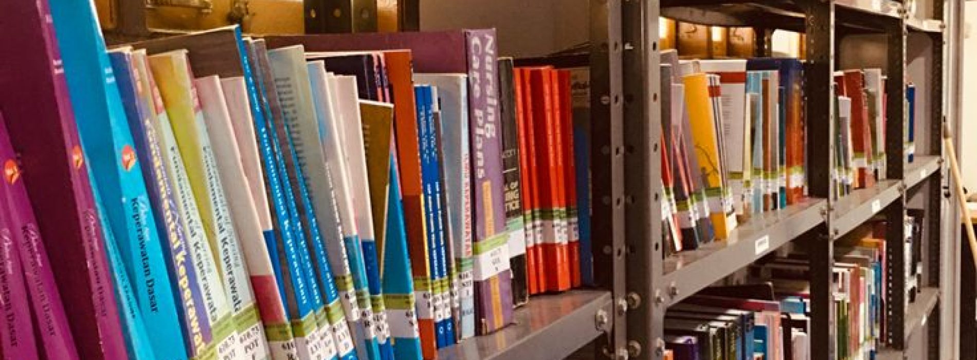 GRAFIK DAFTAR PENGUNJUNG DAN PEMINJAMAN BUKU PERPUSTAKAAN TAHUN  2025