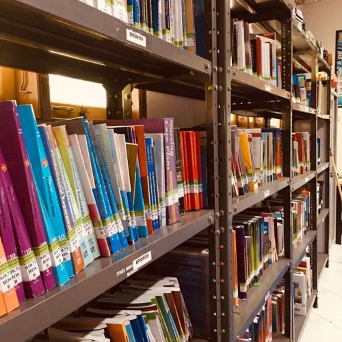 GRAFIK DAFTAR PENGUNJUNG DAN PEMINJAMAN BUKU PERPUSTAKAAN TAHUN  2025